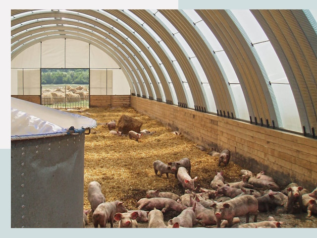 Строительство свинарников в Гудермесе